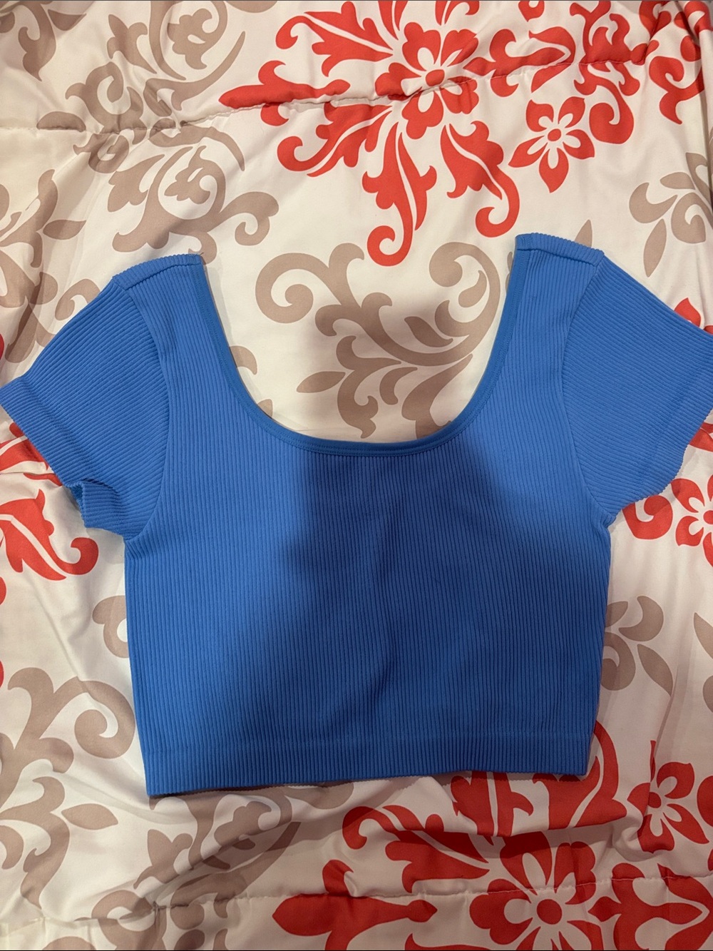 American Eagle Outfitters Ribbed Scoop-Neck Crop Top in Blue